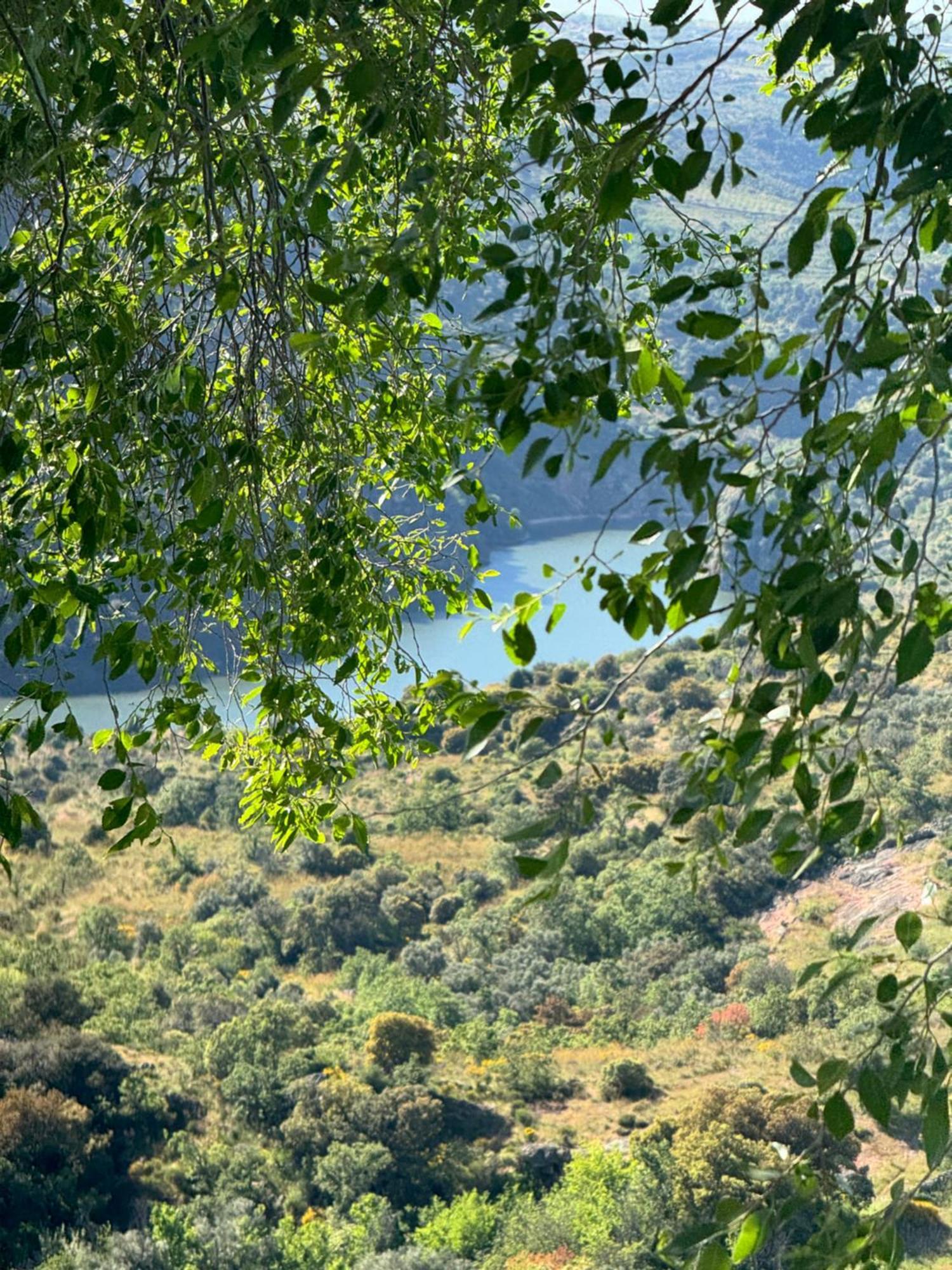 La Casita De Los Arribes فيرموسيلي المظهر الخارجي الصورة